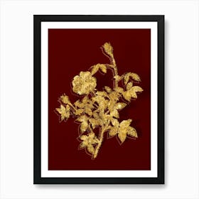 Vintage Moss Rose Botanical in Gold on Red n.0453 Art Print