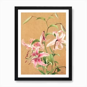 Lilies No 5 Prang & Co Art Print