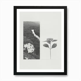 Hydrangea Flower Photo Collage 4 Art Print