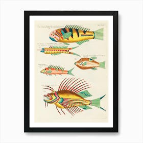 Colourful And Surreal Illustrations Of Fishes Found In Moluccas (Indonesia) And The East Indies, Louis Renard(7) Art Print