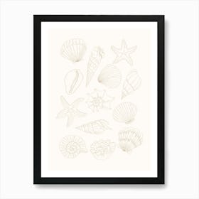 Shells - Beige Art Print