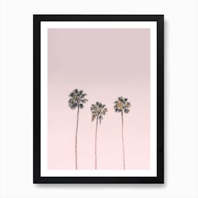 Blushing Palms Art Print