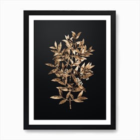 Gold Botanical Phillyrea Tree Branch on Wrought Iron Black n.4478 Art Print