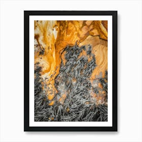 Seaweed And Rocks Art Print