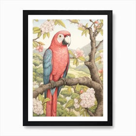 Storybook Animal Watercolour Macaw Art Print