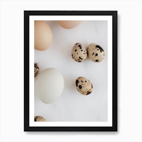 Quail Eggs 4 Art Print