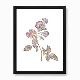 Stained Glass Red Cabbage Rose in Bloom Mosaic Botanical Illustration on White n.0056 Art Print