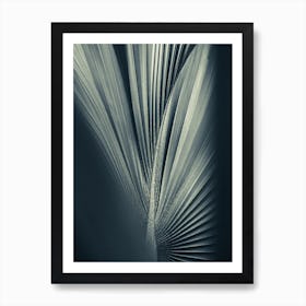 Palm Shade Vi Art Print