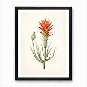 Aloe Vera Vintage Botanical Herbs 0 Art Print