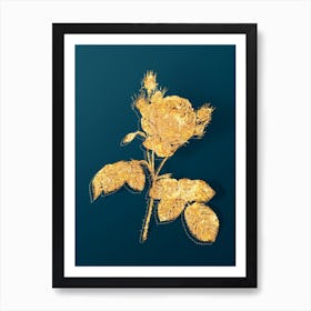 Vintage Pink Cabbage Rose Botanical in Gold on Teal Blue n.0153 Art Print