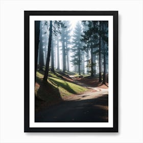 Road In The Forest Art Print