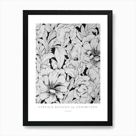 Orchid 2 B&W Vintage Botanical Poster Art Print