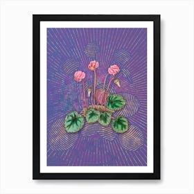 Vintage Shore Cyclamen Flower Botanical Illustration on Veri Peri n.0235 Art Print