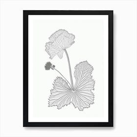 Coltsfoot Herb William Morris Inspired Line Drawing 1 Art Print