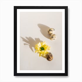 Shadow Of A Flower Art Print