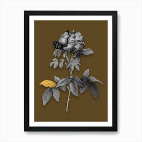 Vintage Provins Rose Black and White Gold Leaf Floral Art on Coffee Brown n.1237 Art Print