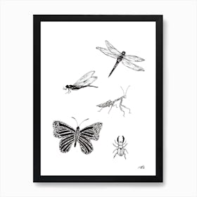 Black and White Insects Art Print