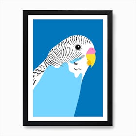 Blue Budgie Art Print