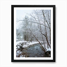 Upstate New York Snow III on Film Art Print