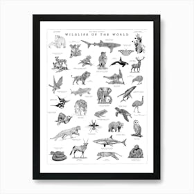 Wildlife Of The World - Animal Art Print Art Print