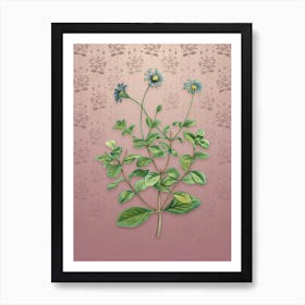 Vintage Blue Marguerite Plant Botanical on Dusty Pink Pattern n.0154 Art Print