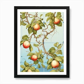 Apples Illustration 7 Affiche