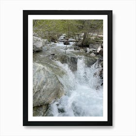 Stream In The Woods Art Print