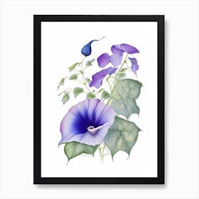 Morning Glory Floral Quentin Blake Inspired Illustration 3 Flower Art Print