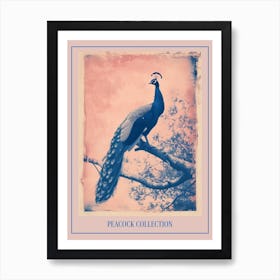 Peacock In The Tree Cyanotype Inspired 7 Poster Art Print
