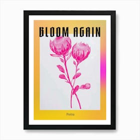 Hot Pink Protea 3 Poster Art Print