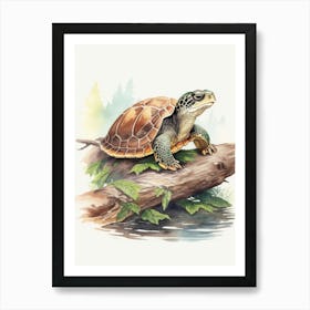 Basking Turtle Art Print