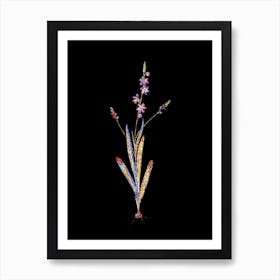 Stained Glass Ixia Scillaris Mosaic Botanical Illustration on Black Art Print