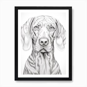 Weimaraner Dog, Line Drawing 4 Art Print