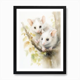 Light Watercolor Painting Of A Baby Possum 4 Art Print