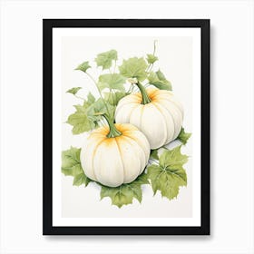 White Pumpkin Watercolour Illustration 4 Art Print