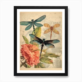 Dragonfly Vintage Species 8 Art Print