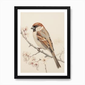 Vintage Bird Drawing Sparrow 1 Art Print