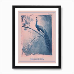 Peacock In The Tree Cyanotype Inspired 3 Poster Art Print