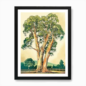 Eucalyptus Tree Storybook Illustration 3 Art Print