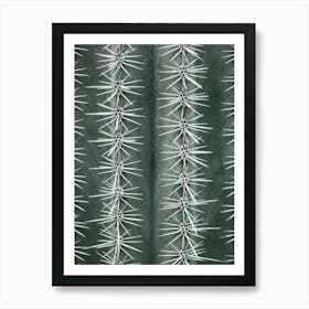 Cactus twiggs_2125491 Art Print