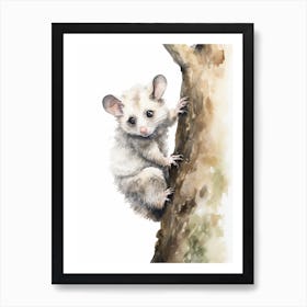 Light Watercolor Painting Of A Climbing Possum 1 Art Print