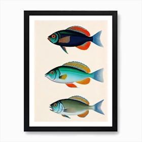 Angelfish Vintage Poster Art Print