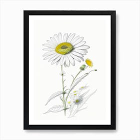 Daisy Floral Quentin Blake Inspired Illustration 1 Flower Art Print