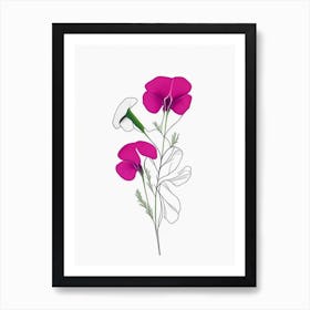 Sweet Pea Floral Minimal Line Drawing 2 Flower Art Print