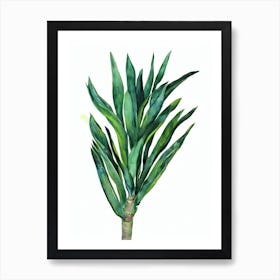 Screw Pine (Pandanus Veitchii) Watercolor Art Print
