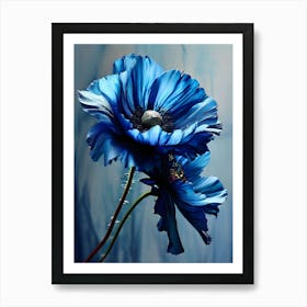 Blue Poppy 2 Art Print