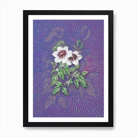 Vintage Siebald's Clematis Botanical Illustration on Veri Peri n.0399 Art Print