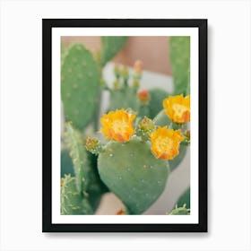 New Mexico Cactus IV on Film Art Print