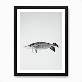 Cuttlefish Black & White Drawing Art Print