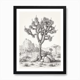  Detailed Drawing Of A Joshua Tree At Dawn In Desert 3 Art Print